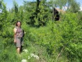 /album/vera-vo-filakove/vera-konradovce-galcikovci-zahrada-jpg/